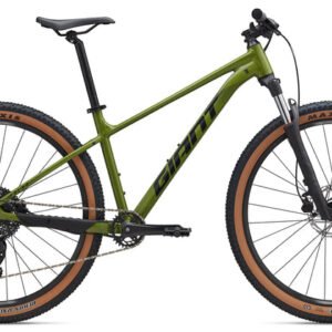 Giant Talon 29 2 (Dried Matcha)
