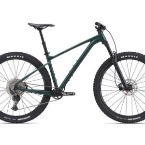 Giant Fathom 2 (Trekking Green)