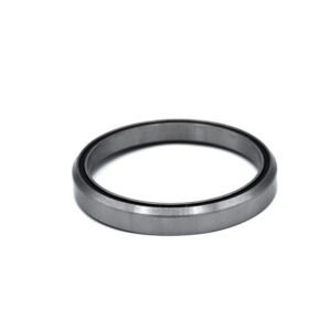 Black Bearing D21 Headset Bearing (Silver/Black)